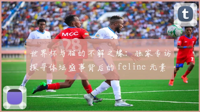 世界杯与猫的不解之缘：独家专访探寻体坛盛事背后的 feline 元素