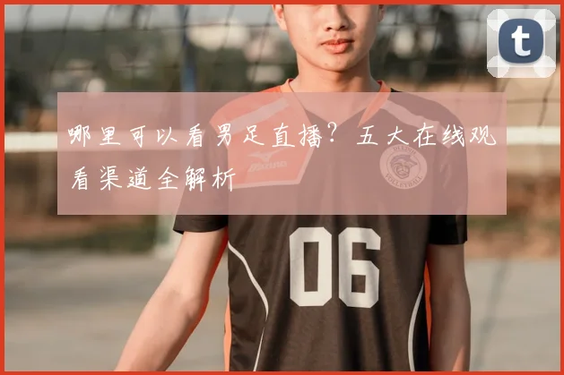 哪里可以看男足直播？五大在线观看渠道全解析