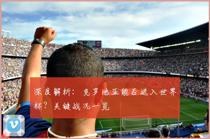 深度解析：克罗地亚能否进入世界杯？关键战况一览