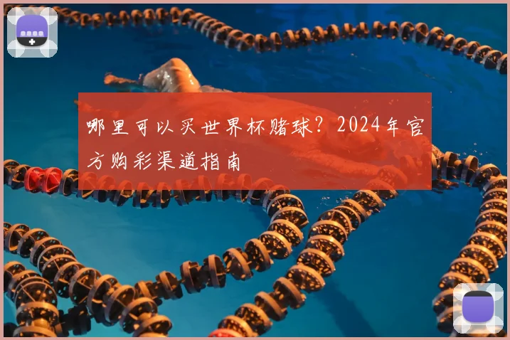哪里可以买世界杯赌球?2024年官方购彩渠道指南