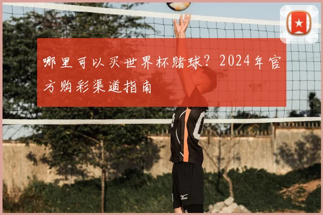 哪里可以买世界杯赌球?2024年官方购彩渠道指南