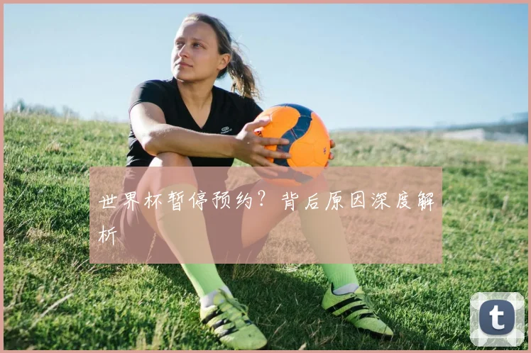 世界杯暂停预约？背后原因深度解析