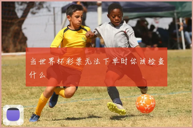 当世界杯彩票无法下单时你该检查什么