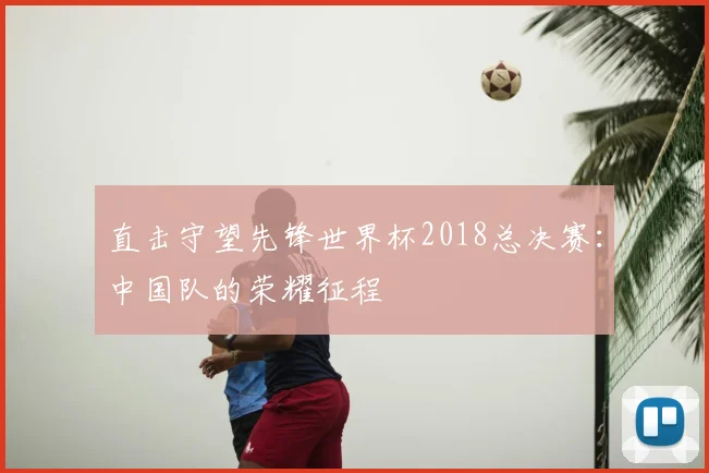 直击守望先锋世界杯2018总决赛:中国队的荣耀征程